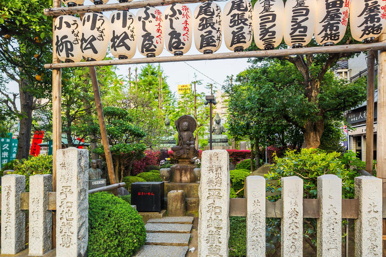 Tour di un giorno a Tokyo Skytree Meiji Shrine con autista in inglese