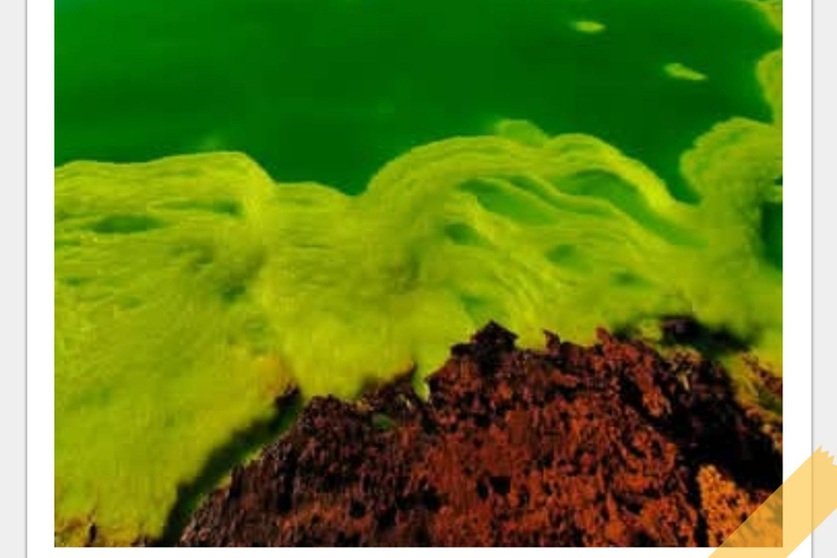 Semera: Nomadenstamm der Afar und Danakil-Wüste mit ortskundigem Guide