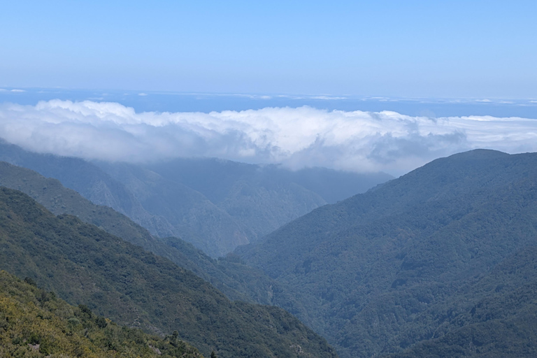 West Jeep tour Madeira: Fanal, Seixal beach, Vulcaninc Pools