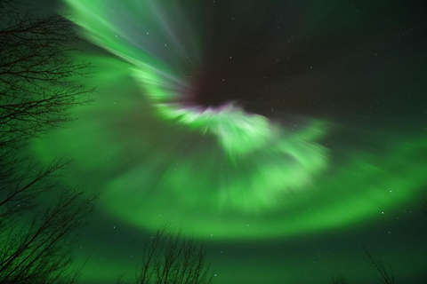Fairbanks: Aurora Borealis Night Sky Tour & Photography