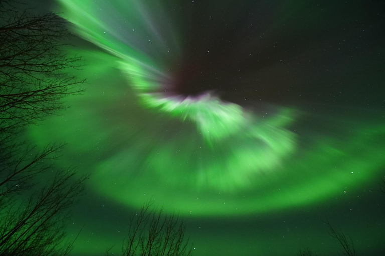Fairbanks: Aurora Borealis Night Sky Tour & Photography