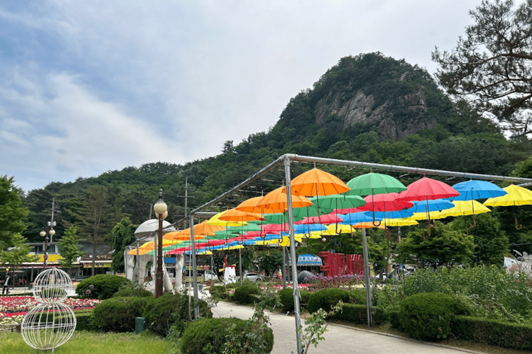 Von Seoul aus: Geführte Tagestour nach Pocheon