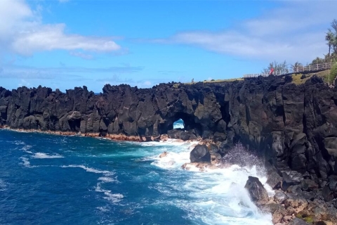 Île de la Réunion : Excursion dans le Sud sauvage avec chauffeur guideChauffeur/guide anglophone