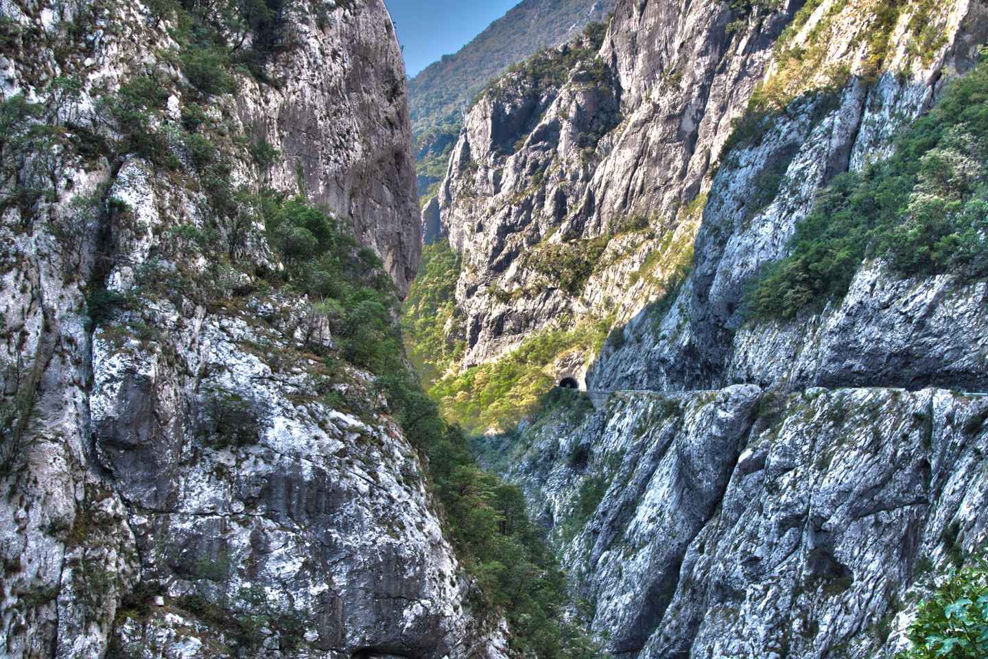 Svartfjallaland: Dagsferð um Skadarsvatn og Biograd með bátsferð