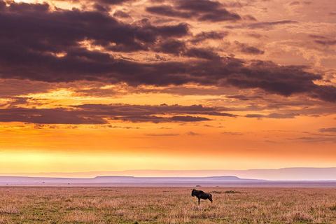 Maasai, Mikumi NP &amp; Chizua Falls 3 dias a partir de Dar es Salaam