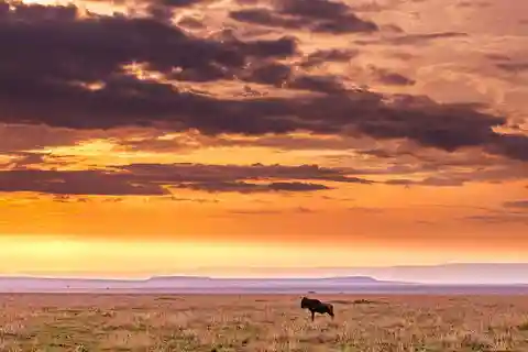 Maasai, Mikumi NP e Cascate di Chizua 3 giorni da Dar es salaam