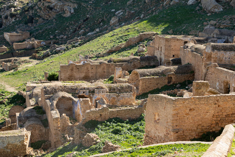 Day Trip: Zriba olia, Dogga