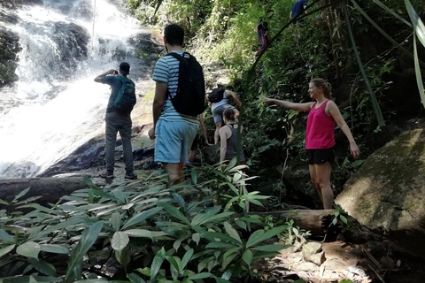 Randonnée au lever du soleil à Chiangmai