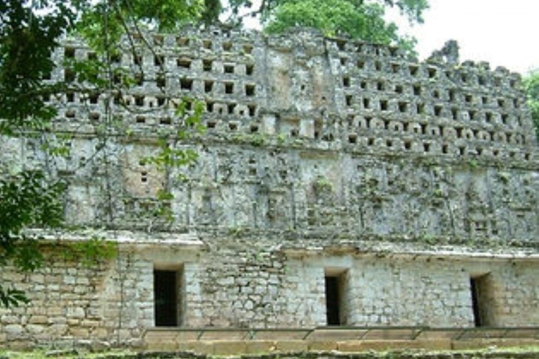 Palenque: Yaxchilán und Bonampak 1 Tagestour