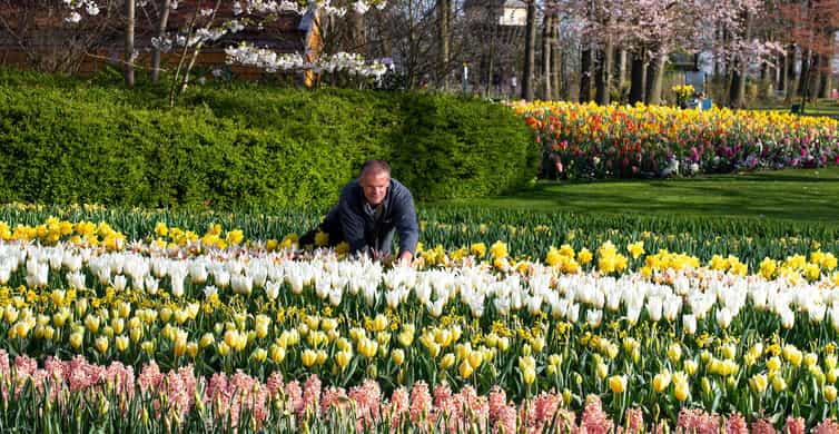 Amsterdam: Day Tour Keukenhof and Zaanse Schans Windmills photo 15