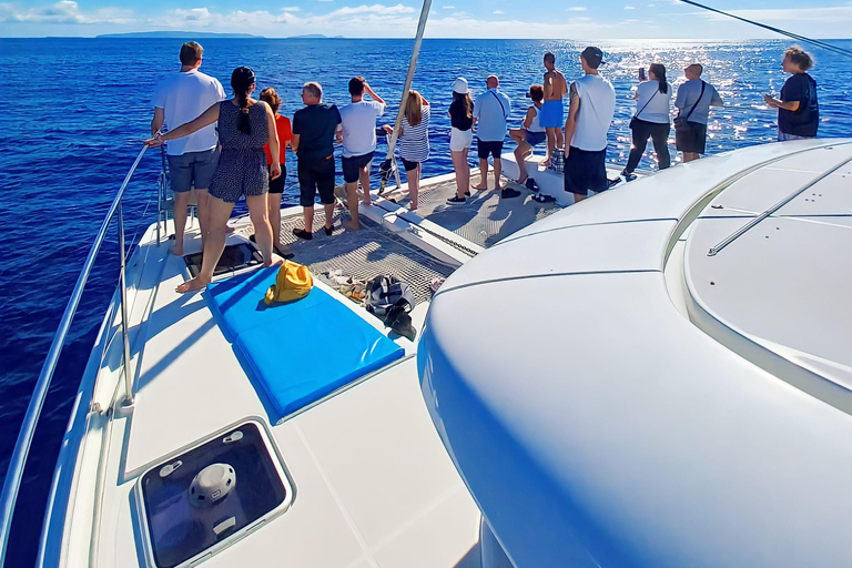 Atlantic Festival Funchal: Firework View from a Luxury Catamaran with Drink Atlantic Festival Funchal: Firework view from a luxury catamaran with a drink