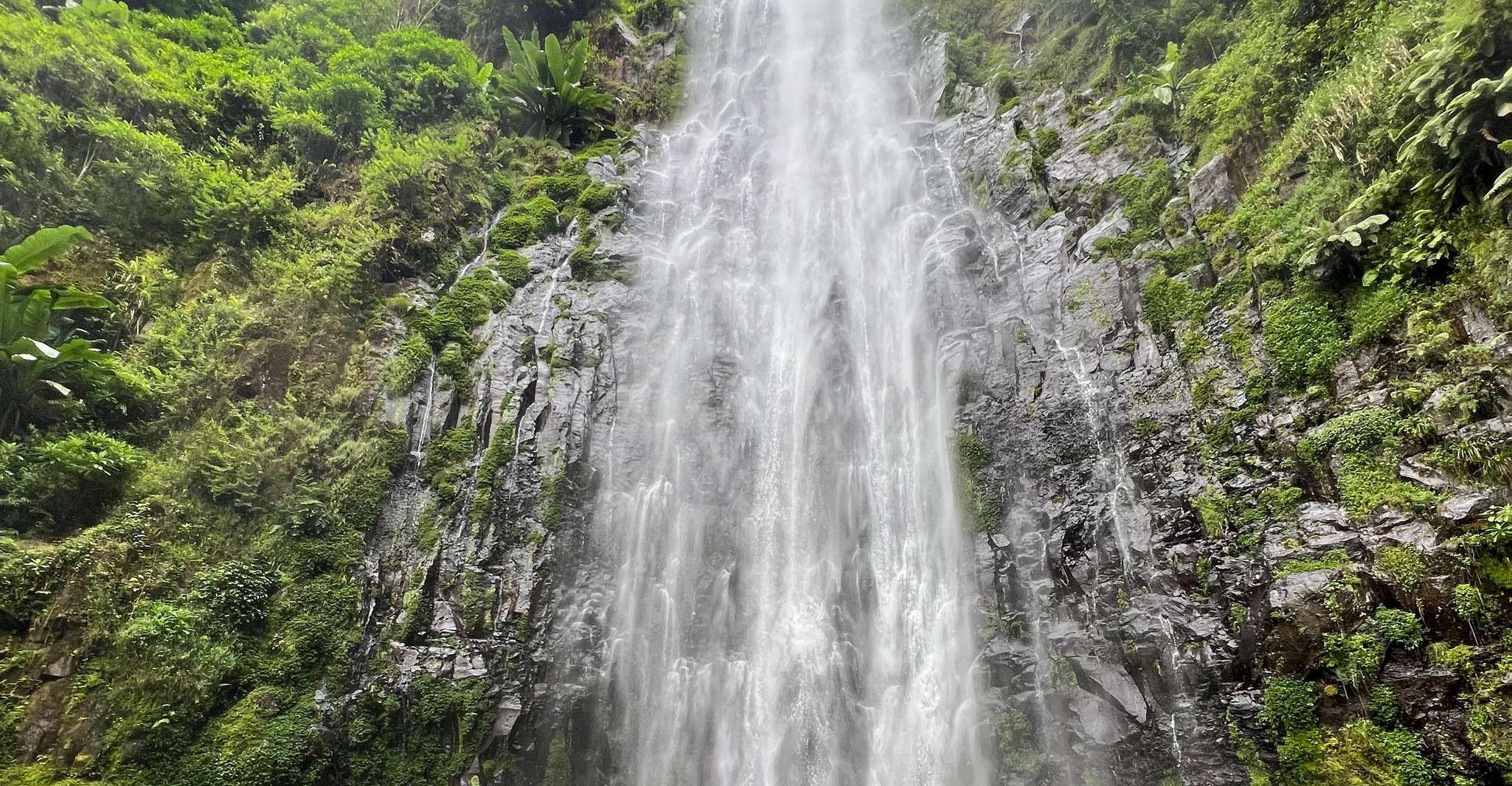 Kilimanjaro Dorfwanderung, Kaffeetour, Wasserfälle & warmes Mittagessen - Hizvo