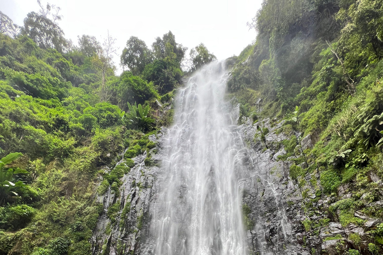 Kilimandjaro : cascades de Materuni et café avec déjeunerCascades et café avec prise en charge à Arusha