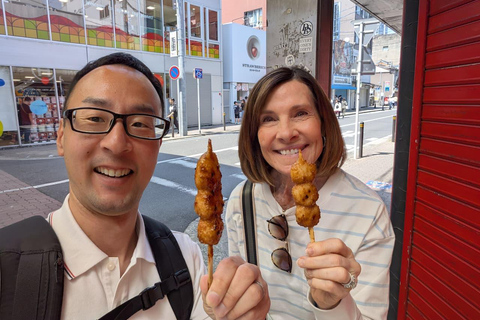 4-Hour Nagoya Private Tour – Licensed Guide & Private Car