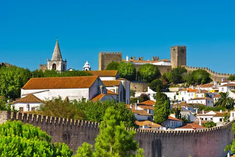 Tour di un giorno intero - Trasferimento a Porto da Lisbona con fermate