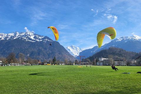 Grindelwald Lauterbrunnen Interlaken Swiss Alps Private Tour