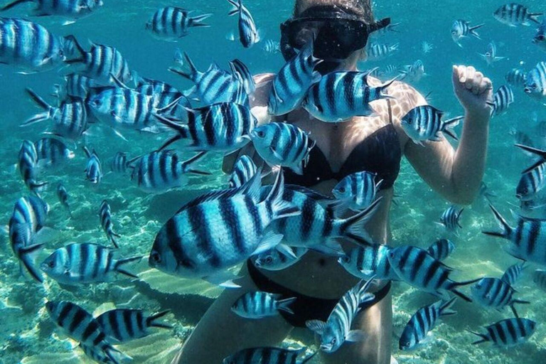 Bali/Nusa Dua: snorkeling, giro in barca con fondo trasparente e centro tartarugheTour per piccoli gruppi con trasferimento (Nusa Dua)