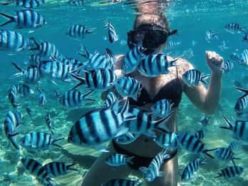 Bali/Nusa Dua : plongée avec tuba, tour en bateau à fond de verre et centre de protection des tortues