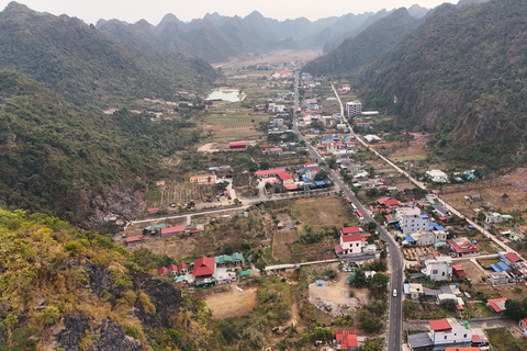 Half Day Hiking to Cat Ba National Park with a Guide