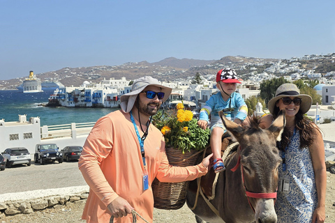 4 horas de tour privado por la isla de Mykonos en minibús de lujo