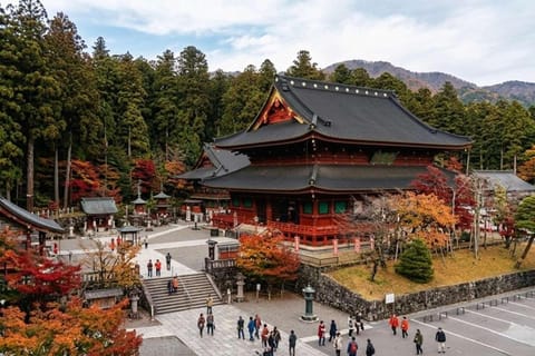 From Tokyo: Nikko Private Sightseeing Tour With Driver/Guide - Image 2