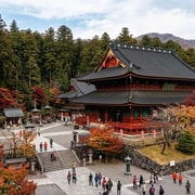 From Tokyo: Nikko Private Sightseeing Tour With Driver/Guide