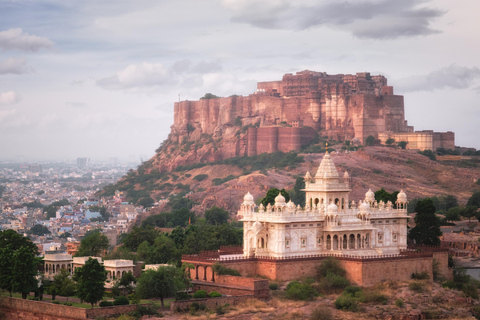 From Delhi: 7-Day Golden Triangle Tour with Udaipur JodhpurThis option only car and driver