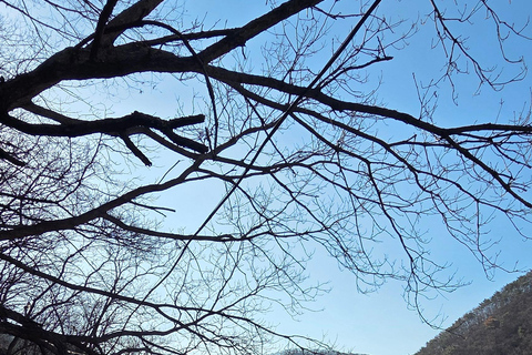 Ulsan: Bangudae Petroglyphs, Onggi Village & Park Tour