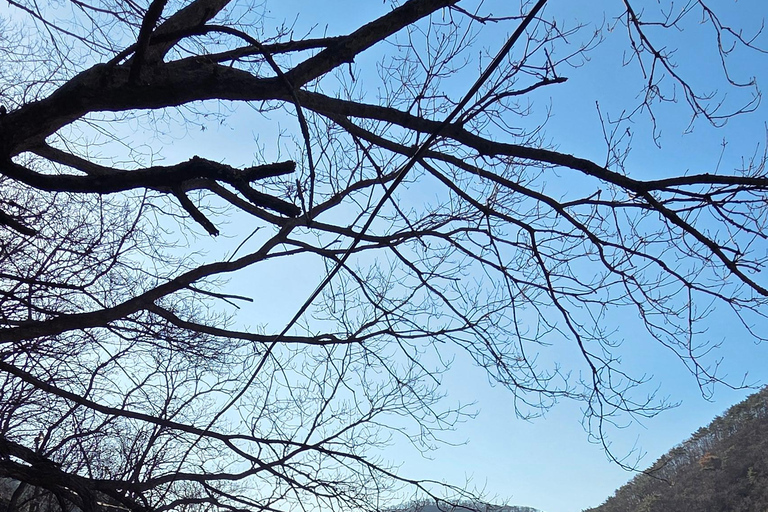 Ulsan: Bangudae Petroglyphs, Onggi Village & Park Tour