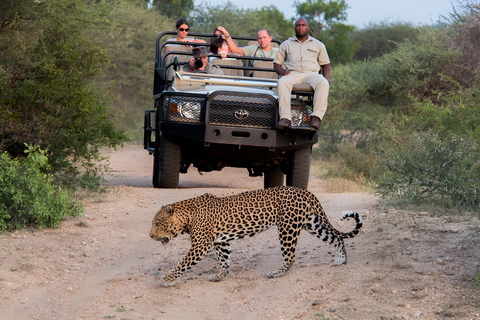 Luxury 5 Day all-inclusive Kruger & Panorama Tour from JHB!