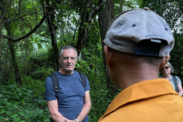 Phnom Penh: Battambang Day Trip with Bamboo Train Ride