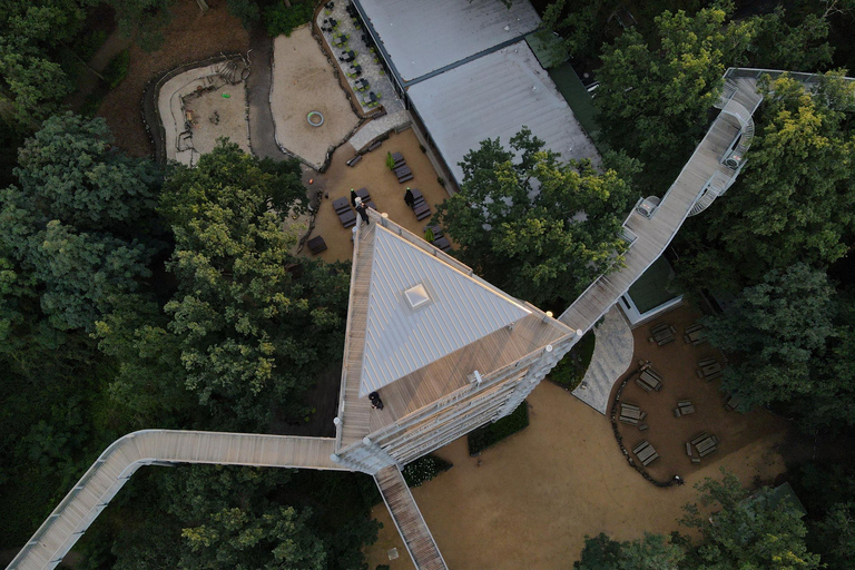 Baum&amp;Zeit Beelitz-Heilstätten: Tree Top Walk Ticket de entrada