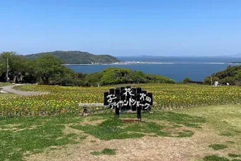 Fukuoka:Nokonoshima Island Day Trip with Tour Guide& Driver