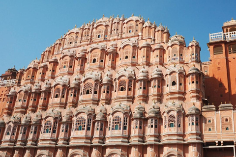 From Delhi/Agra/Jaipur: Jaipur Day Tour with Transfers