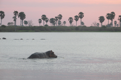 2 Días, 1 Noche Reserva de Caza Selous/Parque Nacional Nyerere