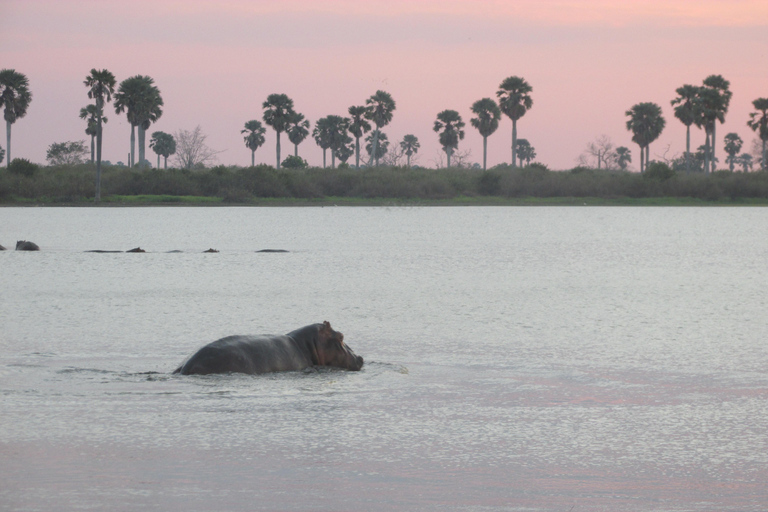 2 Tage, 1 Nacht Selous Game Reserve/ Nyerere National Park