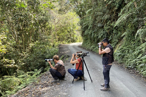 Da Cusco: 5 giorni di esplorazione e connessione nella Zona Riservata del ManuDa Cusco: 5 giorni di esplorazione e connessione nella Zona Riservata di Manu