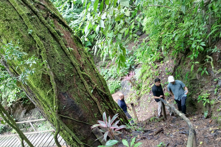 Jacó Puntarenas: Cascate ed esperienza 4x4