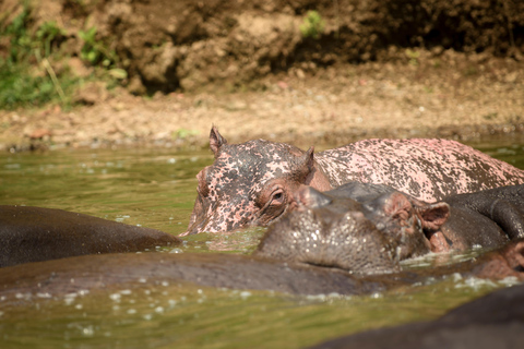 2-Day Lake Mburo National Park Safari from Entebbe/Kampala.