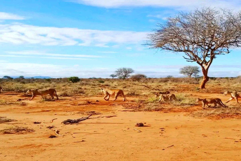Von Mombasa/Diani: 3-tägige Tsavo Ost und Amboseli Safari3 Tage Tsavo Ost und Amboseli