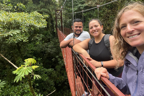 Excursão de dia inteiro na floresta nublada