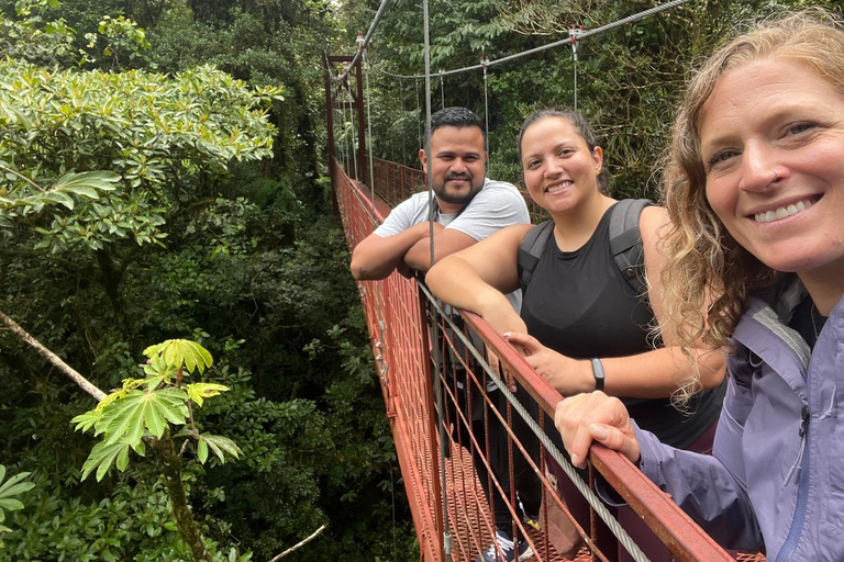 Excursão de dia inteiro na floresta nublada