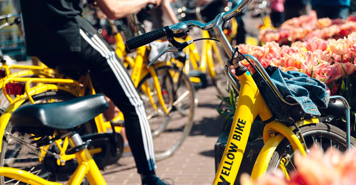Afbeelding 1 van Amsterdam: Fietsverhuur