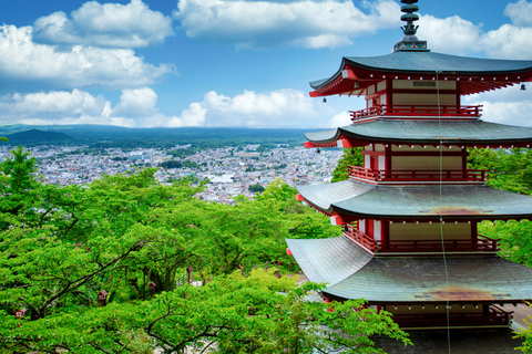 From Tokyo: Mt. Fuji Views Private Customize Itinerary Tour