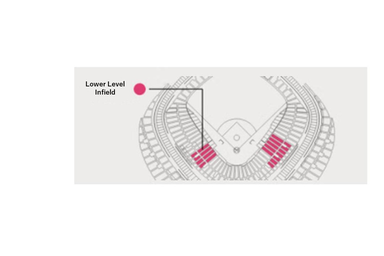 Tokyo Dome: Yomiuri Giants Baseball Game Ticket with Towel Tokyo Dome: Yomiuri Giants Baseball Game Ticket with Towel