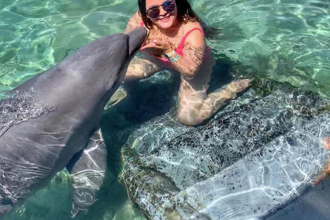 Cartagena: Rosario Oceanarium, Snorkel & Swim with Dolphins Cartagena: Rosario Islands Tour with Oceanarium & Snorkeling