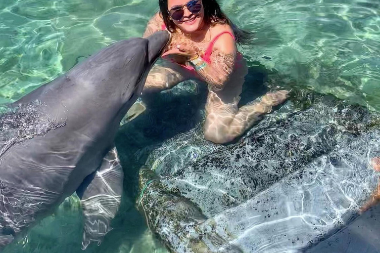 Cartagena: Rosario Oceanarium, Snorkel & Swim with Dolphins Cartagena: Rosario Islands Tour with Oceanarium & Snorkeling
