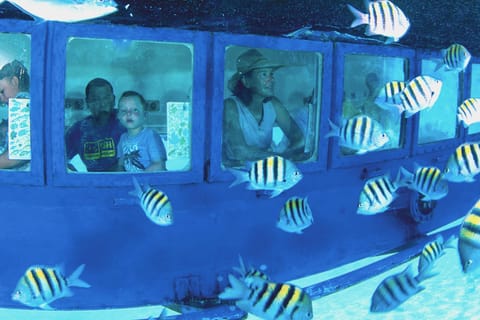 Cancún: Hop-on Hop-off Bus Tour with Submarine Trip