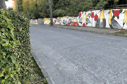 Puerto Varas: Half-Day City Tour, Puerto Montt Included