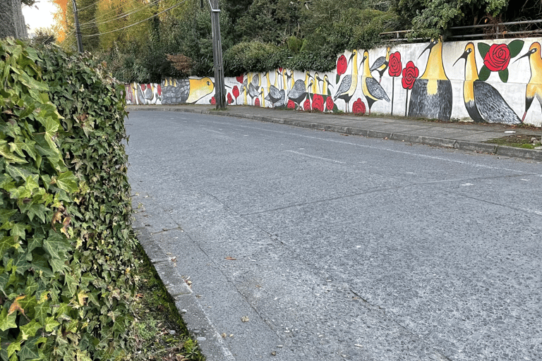 Puerto Varas: Half-Day City Tour, Puerto Montt Included